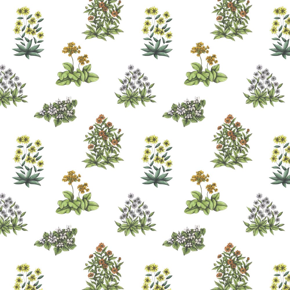 Vibrant Botanical Array by Cecilia Battaini — canvas wall art