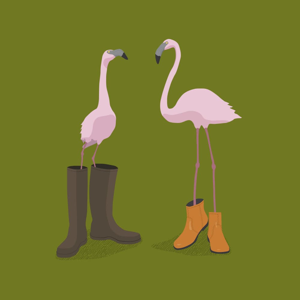 Funny Flamingos In Boots by Florent Bodart — canvas wall art