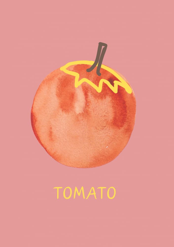 Tomato in Pink by ART of living — canvas wall art