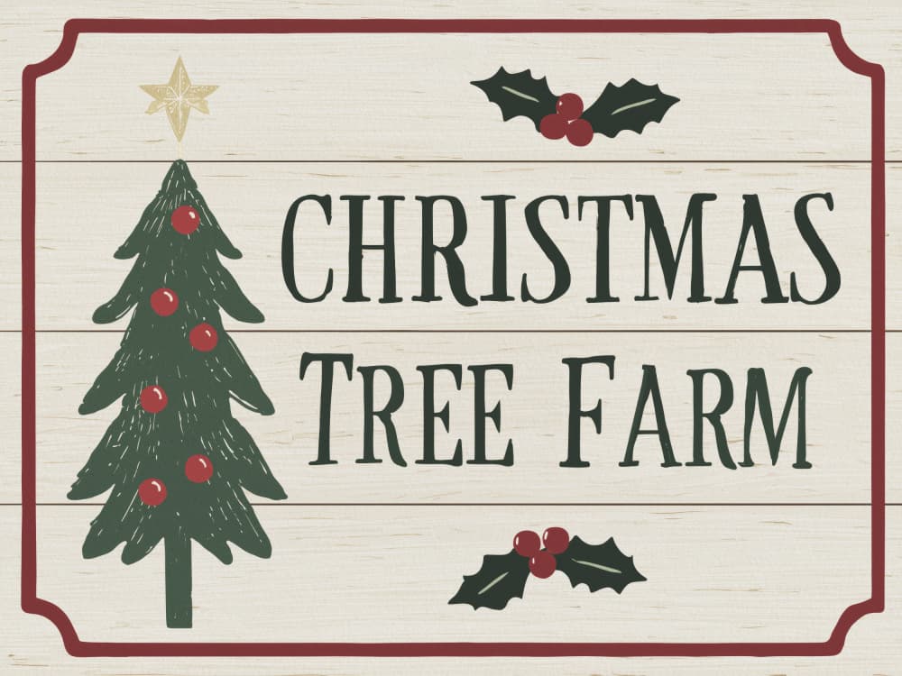 Rustic Christmas Tree Farm by Andreas Magnusson — canvas wall art