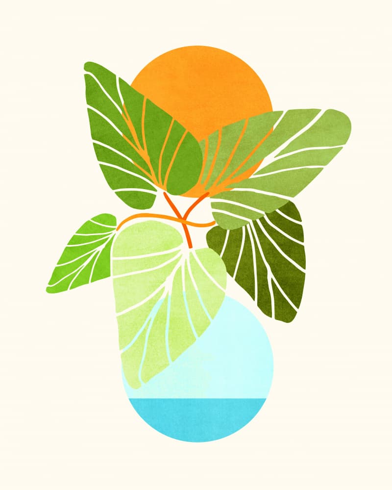 Tropical Symmetry 2 by Kristian Gallagher — canvas wall art