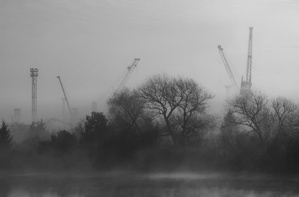 Cranes In Winter Fog by Anna Niemiec — canvas wall art