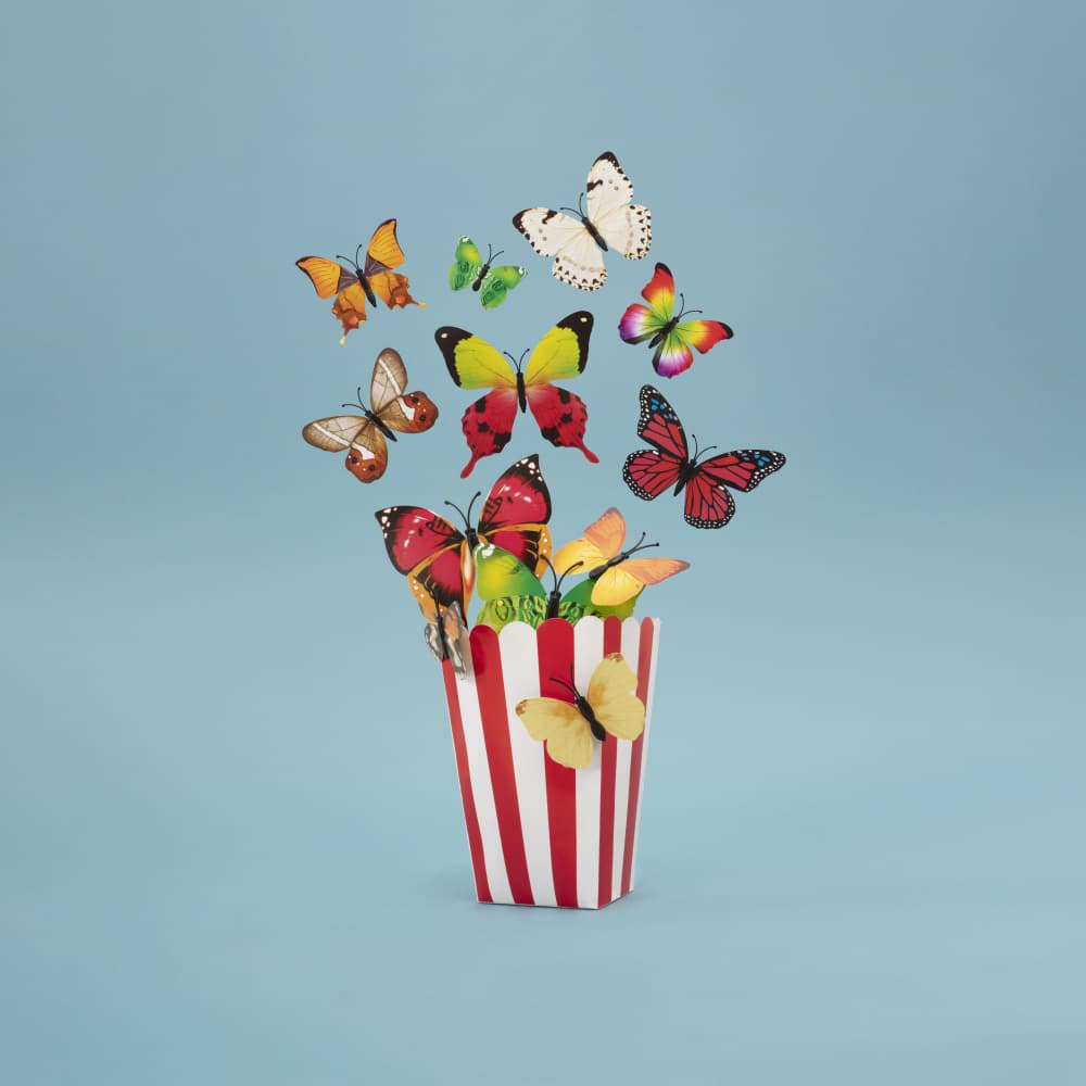 Whimsical Butterflies Popcorn by Julia Ramiro — canvas wall art