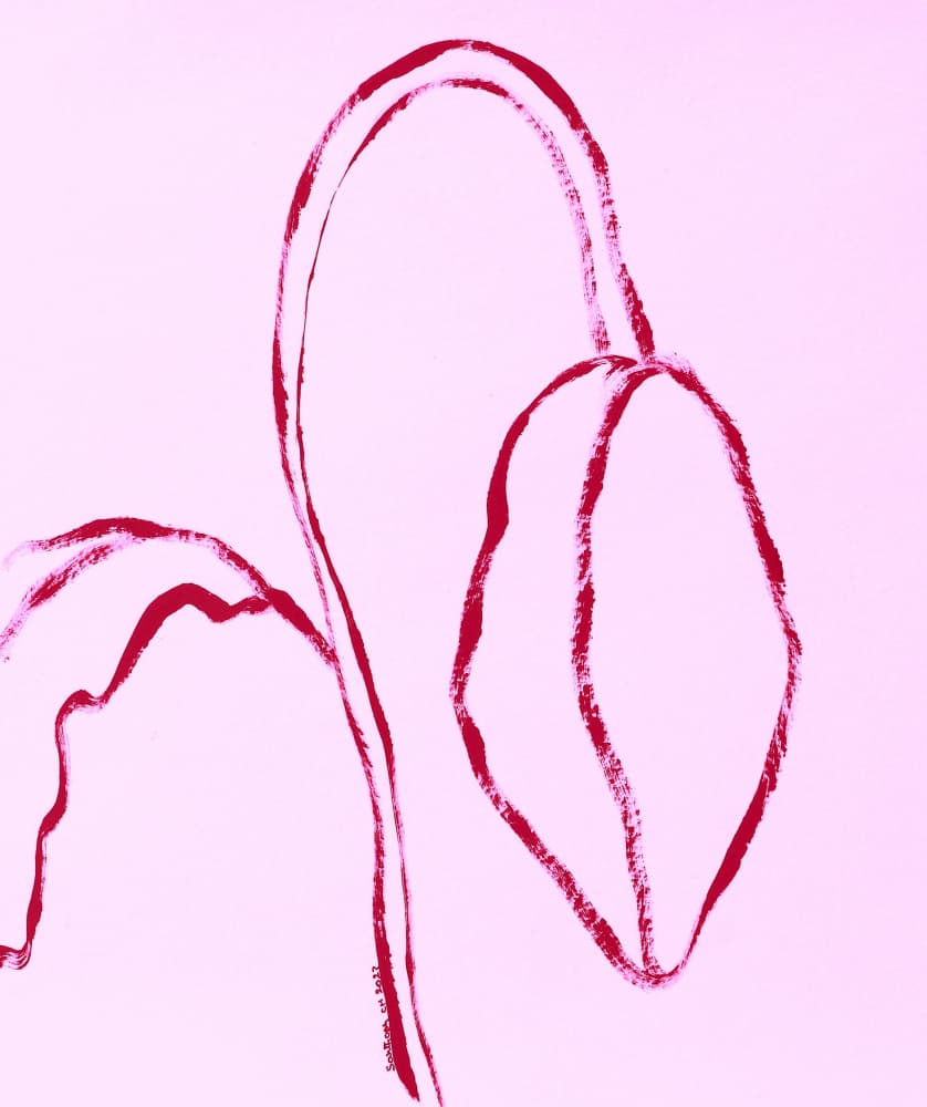 Delicate Pink Bloom by Santhosh ch — canvas wall art