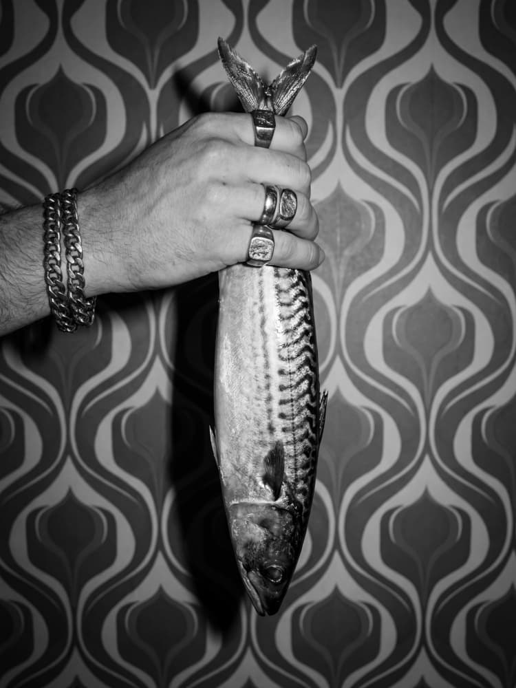 Stylish Hand Mackerel by Andreas Magnusson — canvas wall art