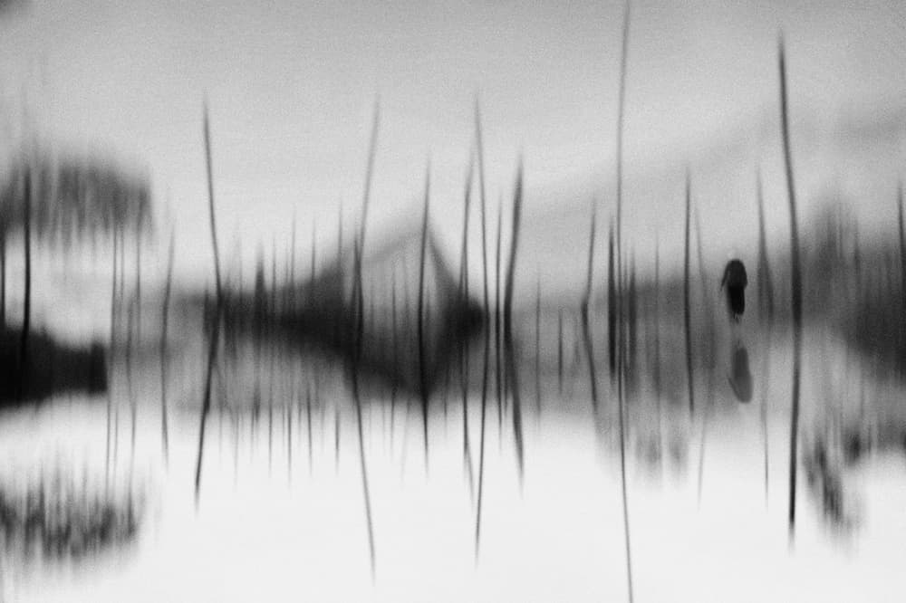 Dreamlike Water Reflection by Eric Drigny — canvas wall art