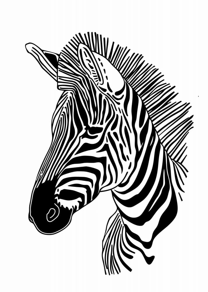 Striking Zebra Profile by Justyna Jaszke — canvas wall art