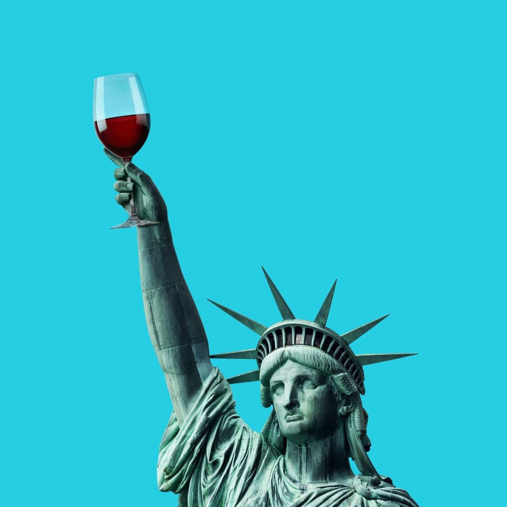 Lady Liberty Wine by Artem Pozdniakov — canvas wall art