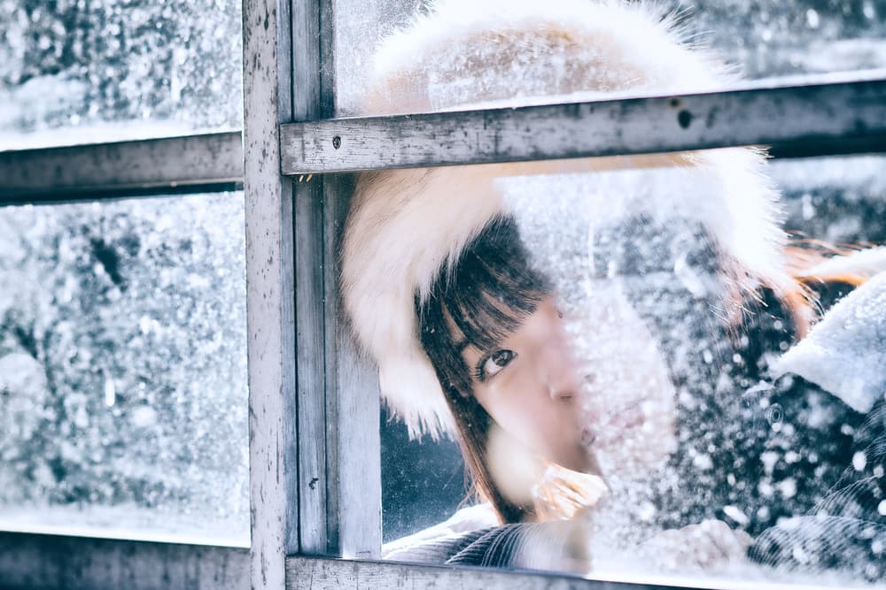 Winter Window Gaze by 7 Flavor C/P — canvas wall art