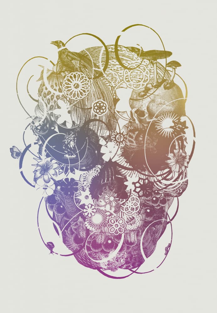 Floral Steampunk Skull by Jaco Putker — canvas wall art