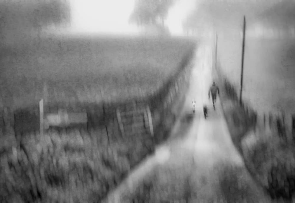 Misty Country Walk by Amer Jassim — canvas wall art