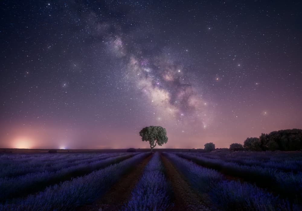 Milky Way Lavender Field by joanaduenas — canvas wall art