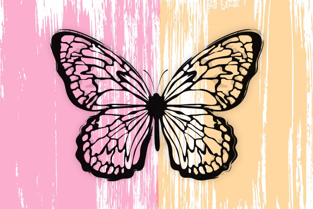 Split Pink Orange Butterfly by Martina — canvas wall art