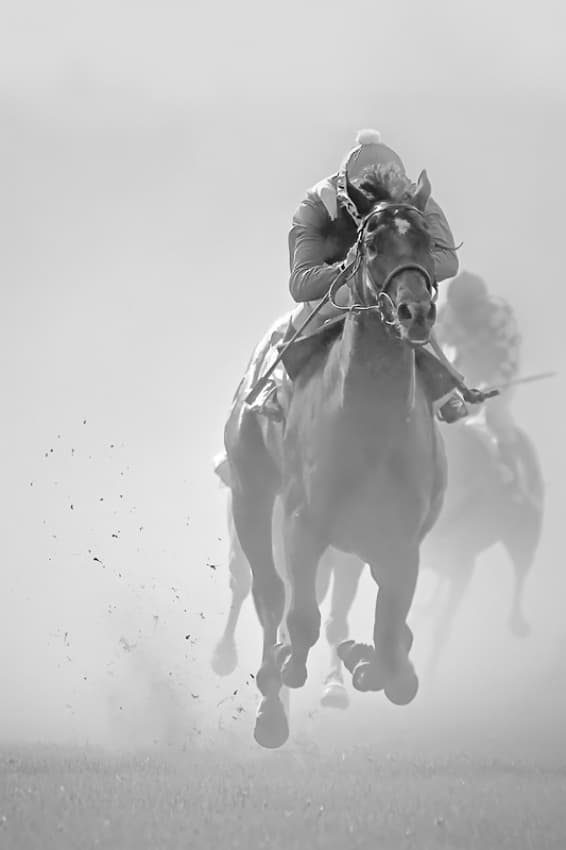 Powerful Racehorses Galloping by Bojan Bencic — canvas wall art