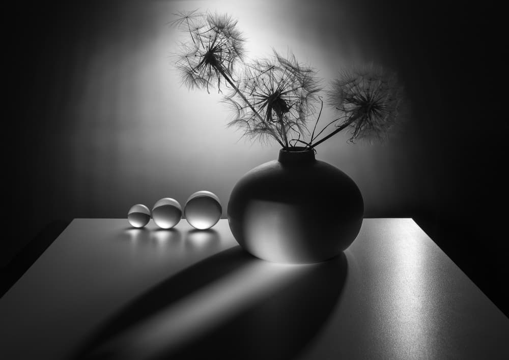 Elegant Dandelion Still Life by Evgeniy Popov — canvas wall art