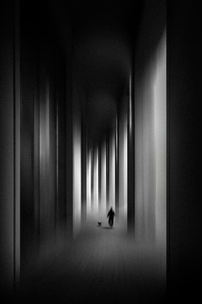 Solitary Walk Dark Hallway by Tony Xu — canvas wall art