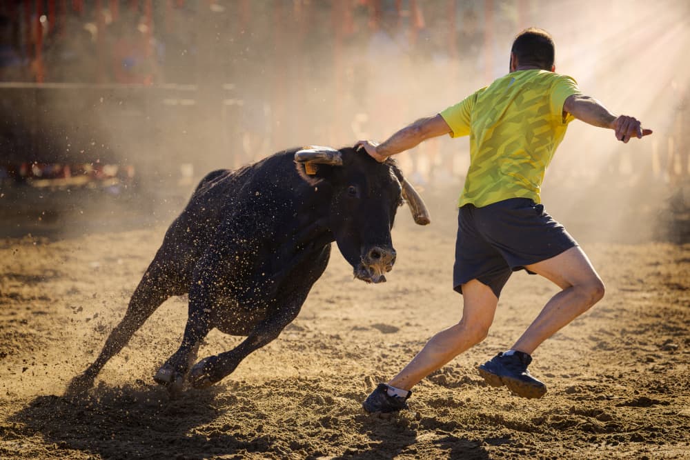Bull Run Action by Gustavo Ribes — canvas wall art