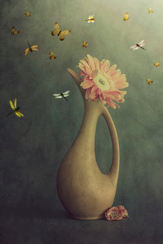 Gerbera Vase And Flight by Cicek Kiral — canvas wall art