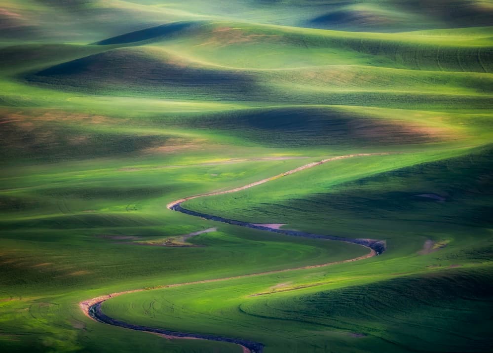 Winding River Green Hills by Rob Darby — canvas wall art