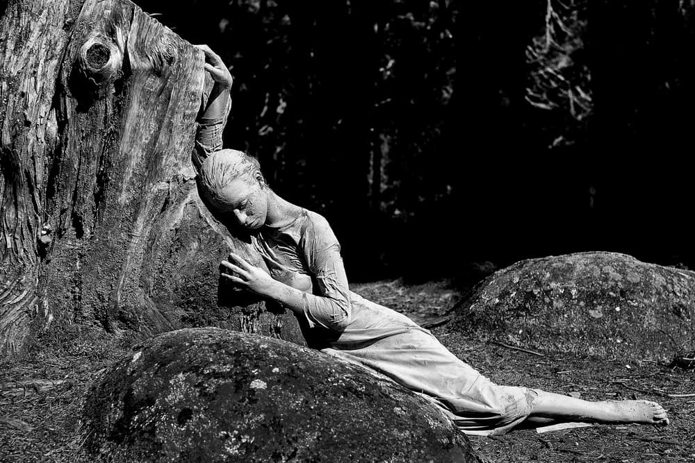 Melancholy Forest Embrace by Josefina Melo — canvas wall art