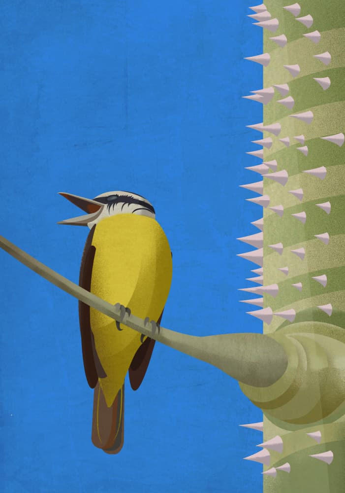 Singing Yellow Bird by Franco Caballero — canvas wall art