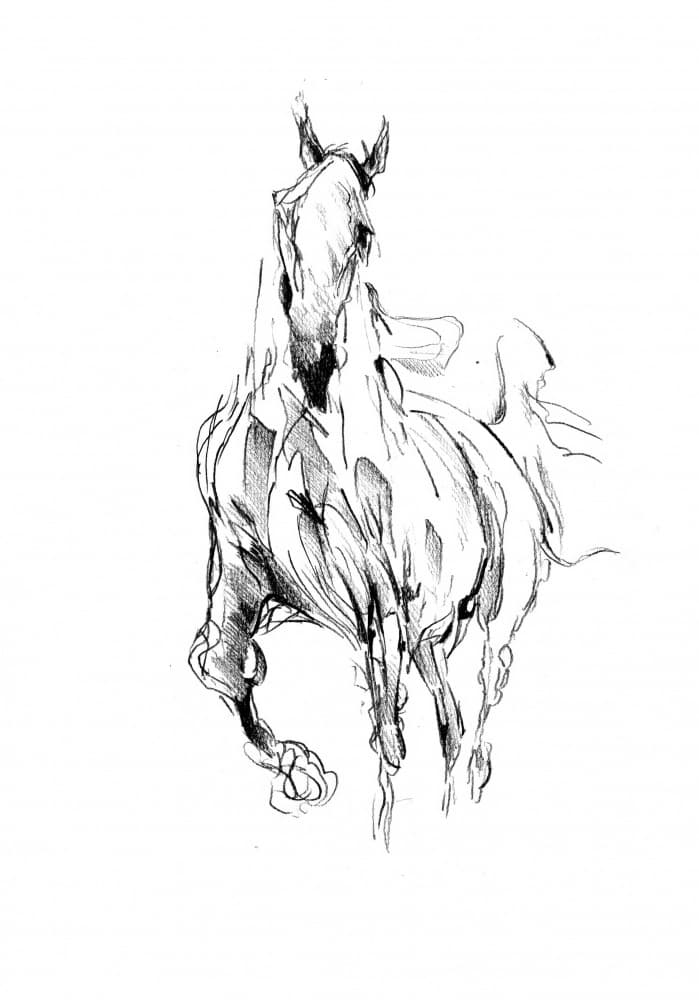 Wild Horse Movement by Kulik — canvas wall art