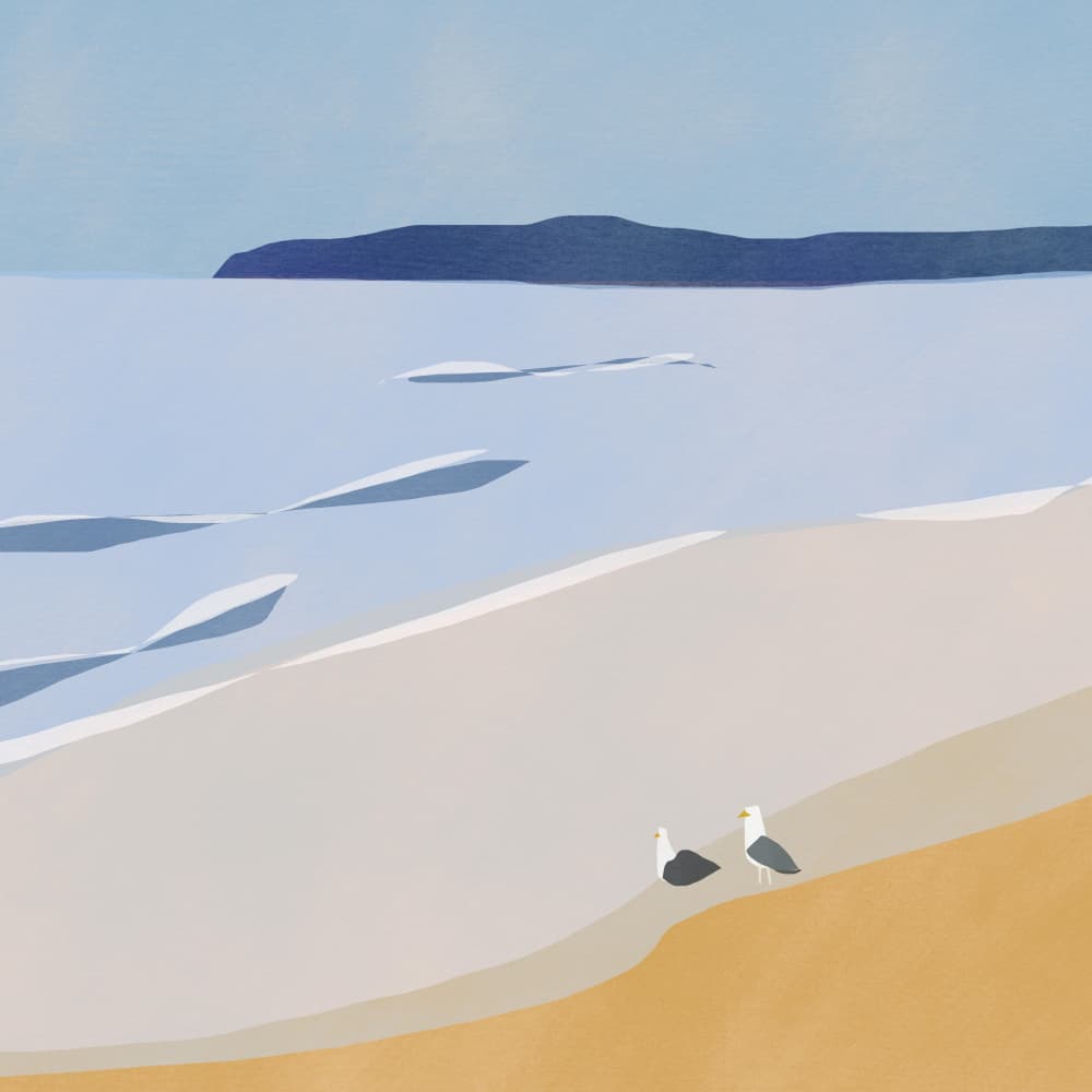 Serene Beach Seagulls by Little Dean — canvas wall art