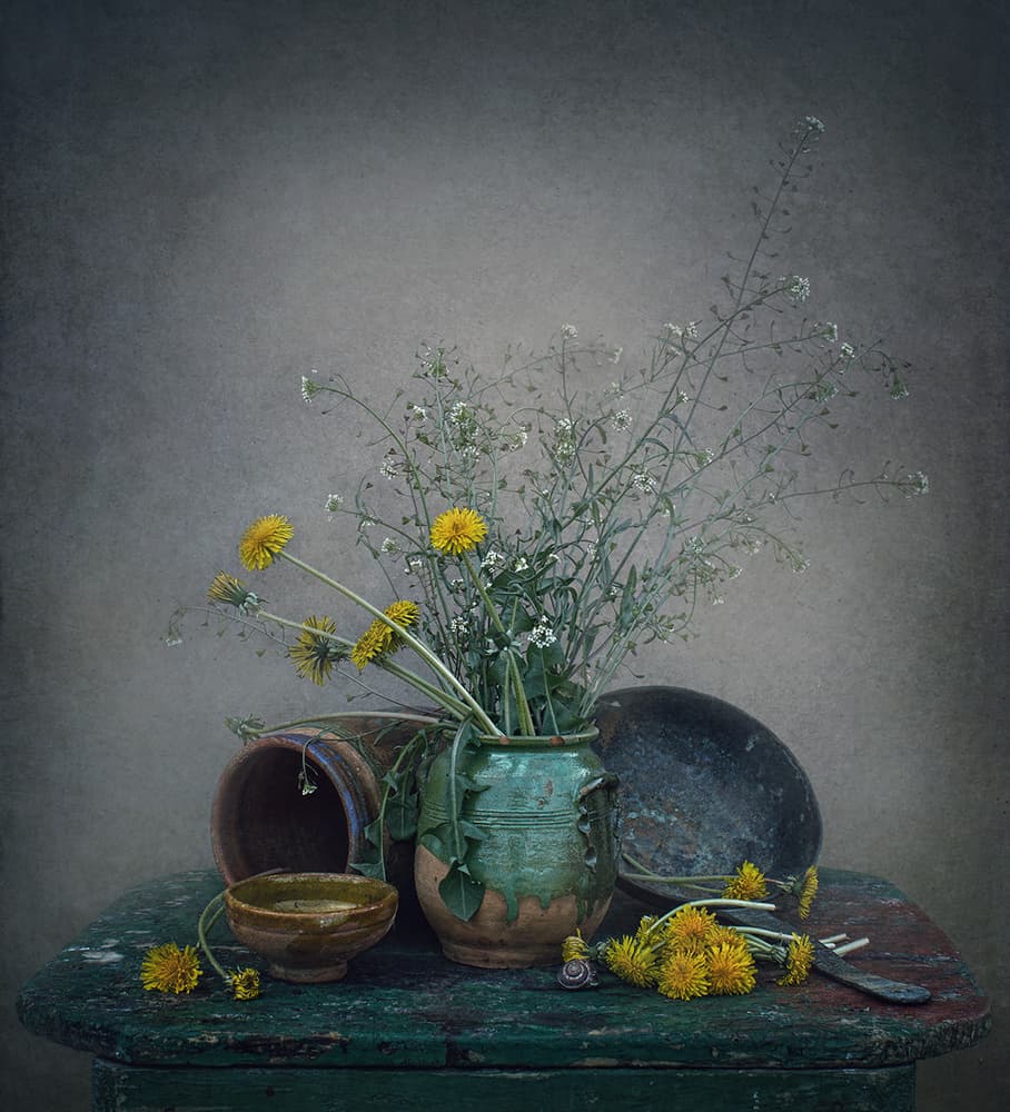 Rustic Dandelion Still Life by Dimitar Lazarov - Dim — canvas wall art