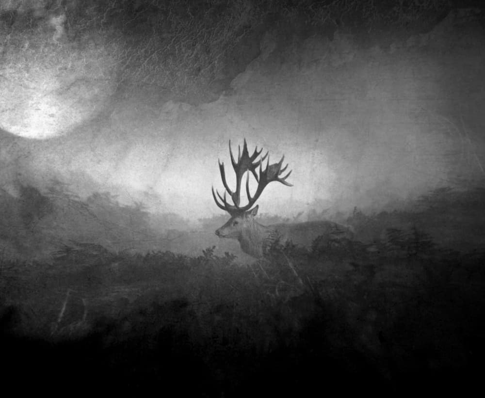 Moonlit Misty Stag by Robert Fabrowski — canvas wall art