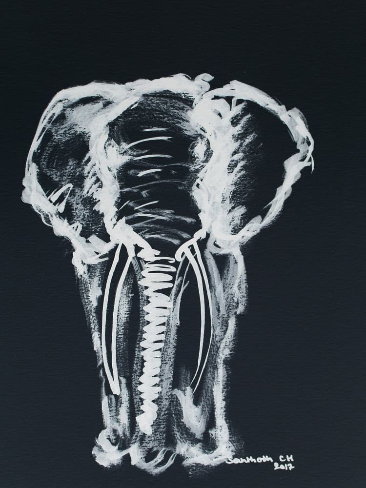 White Elephant Sketch by Santhosh ch — canvas wall art