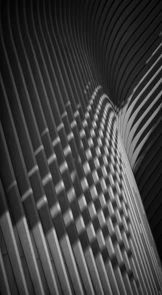 Dynamic Architectural Curves by Fan Lin (APA) — canvas wall art