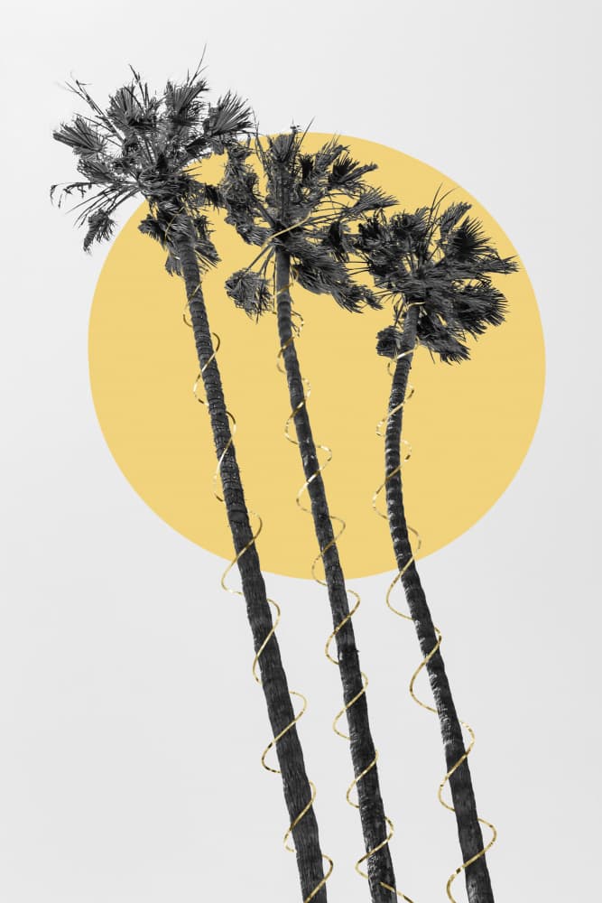 Golden Palms Sun by Melanie Viola — canvas wall art