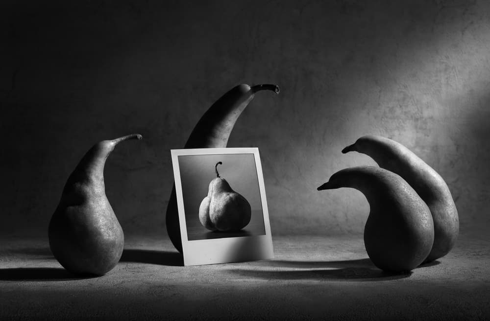 Pears Admiring Portrait by Victoria Glinka — canvas wall art