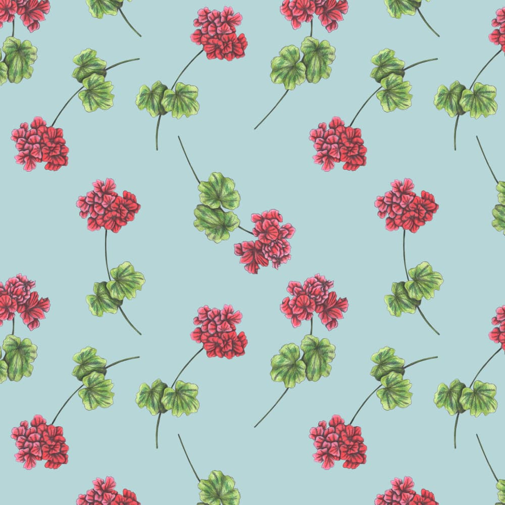 Delicate Red Flowers by Cecilia Battaini — canvas wall art