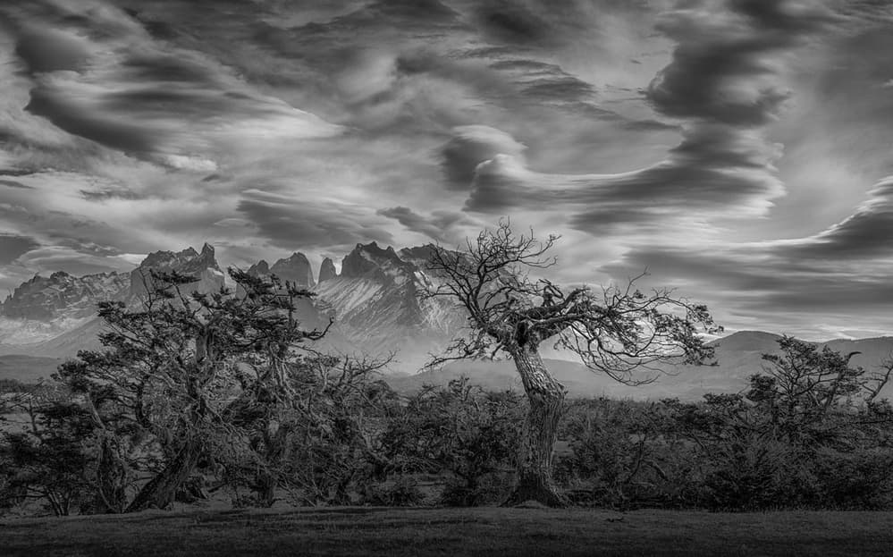 Dramatic Patagonia Peaks by Peter Svoboda MQEP — canvas wall art
