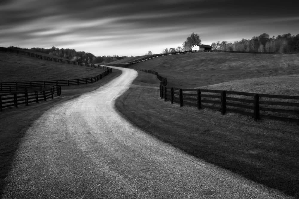 Winding Country Road by Steven Zhou — canvas wall art