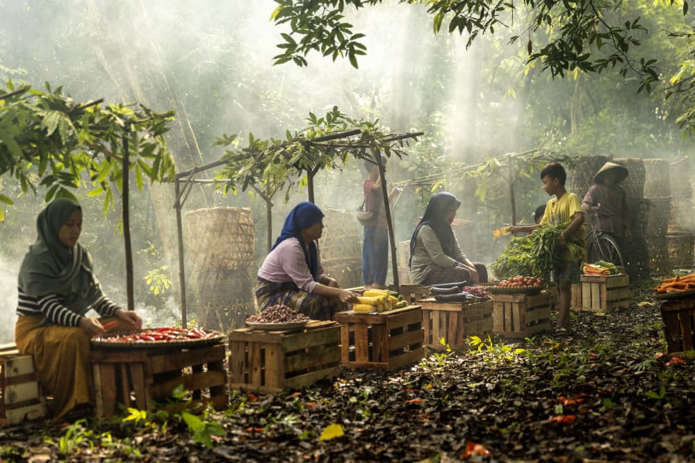 Misty Morning Market by Sally Widjaja — canvas wall art