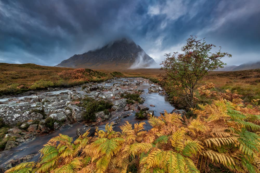 Misty Mountain Autumn Stream by Luigi Ruoppolo — canvas wall art
