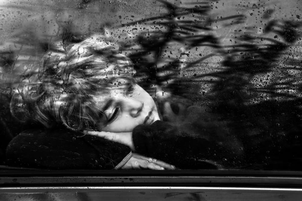 Rainy Window Nap by Ummu Nisan Kandilcioglu — canvas wall art