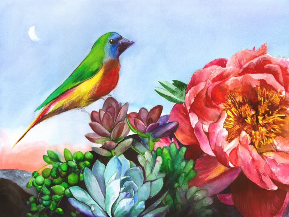 Vibrant Bird Peony Garden by Christine Lindstrom — canvas wall art