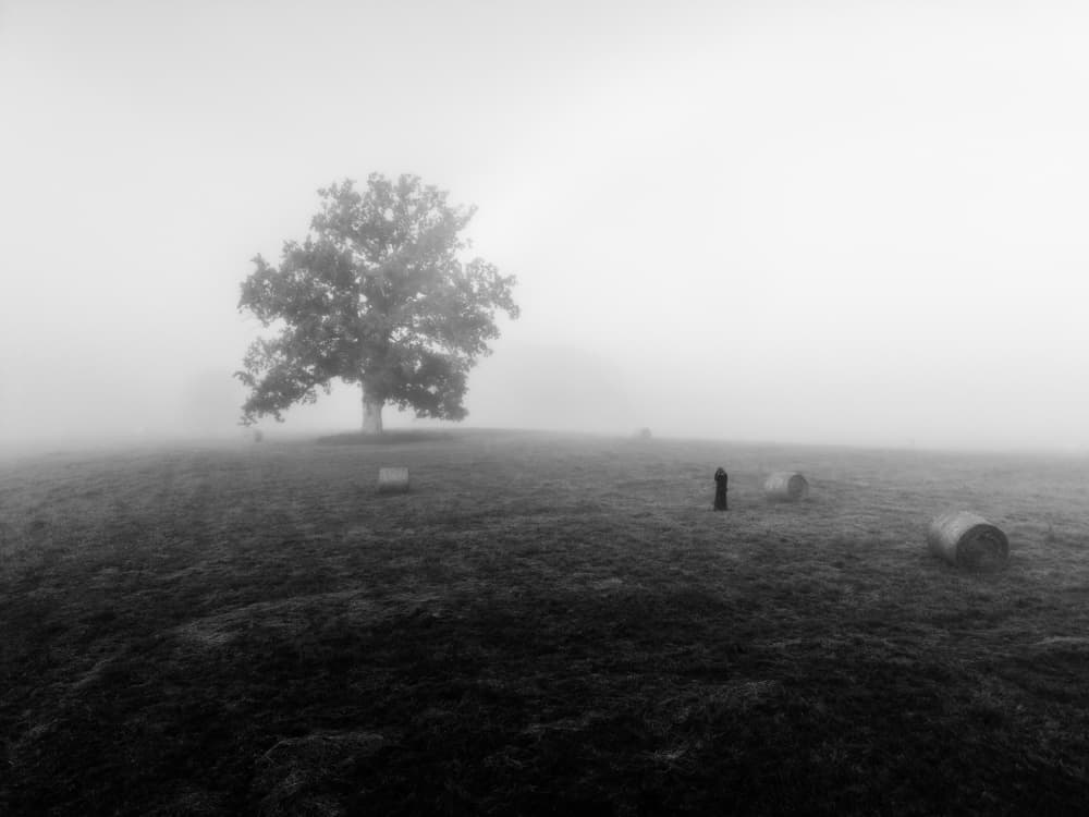 Mysterious Foggy Field by Leszek Paradowski — canvas wall art