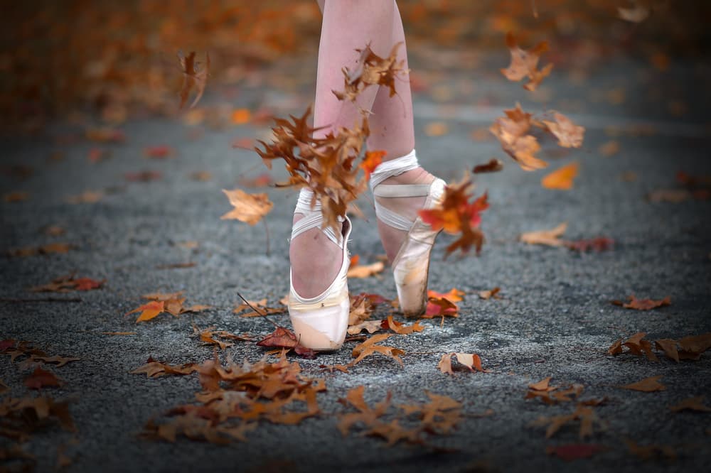 Autumn Pointe Dance by Rob Li — canvas wall art