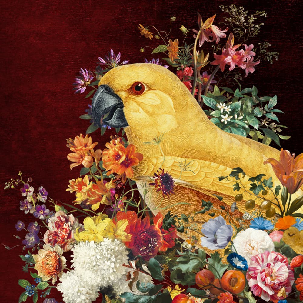 Golden Parrot Bloom by Marja van den Hurk — canvas wall art