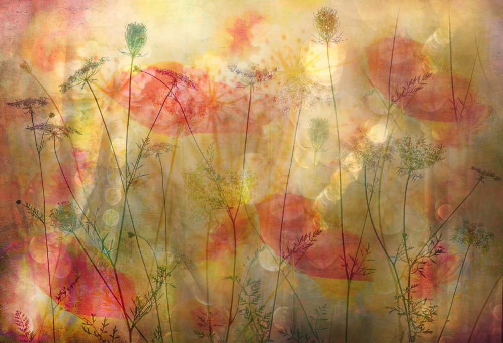 Dreamy Floral Meadow by Hilda van der Lee — canvas wall art