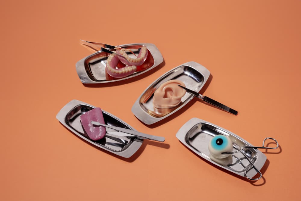 Uncanny Surgical Still Life by Julia Ramiro — canvas wall art