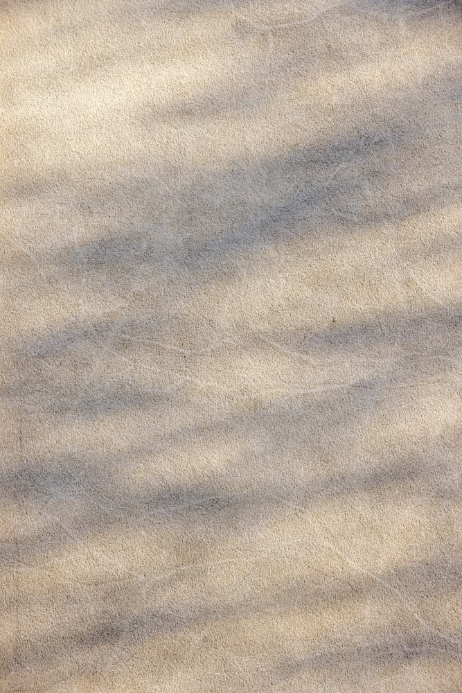 Sunlight Shadow Play by Mareike Böhmer — canvas wall art