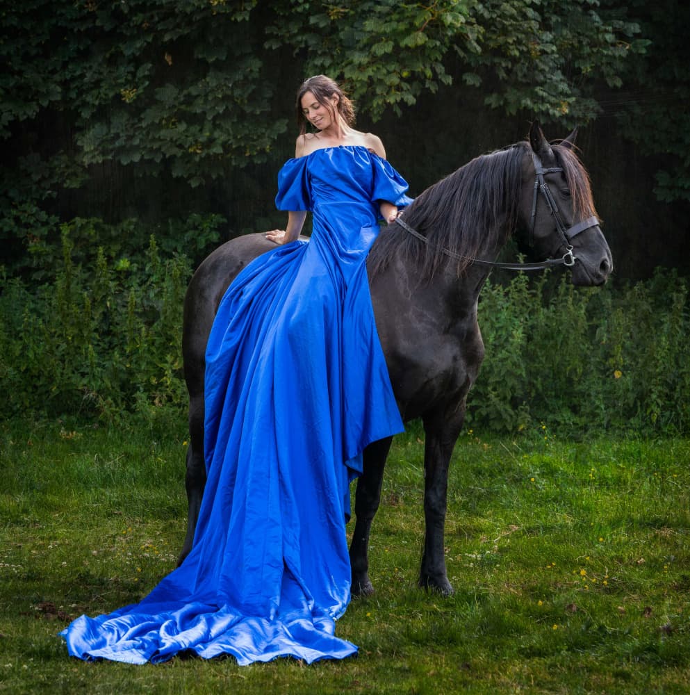 Majestic Blue Rider by Derwood — canvas wall art