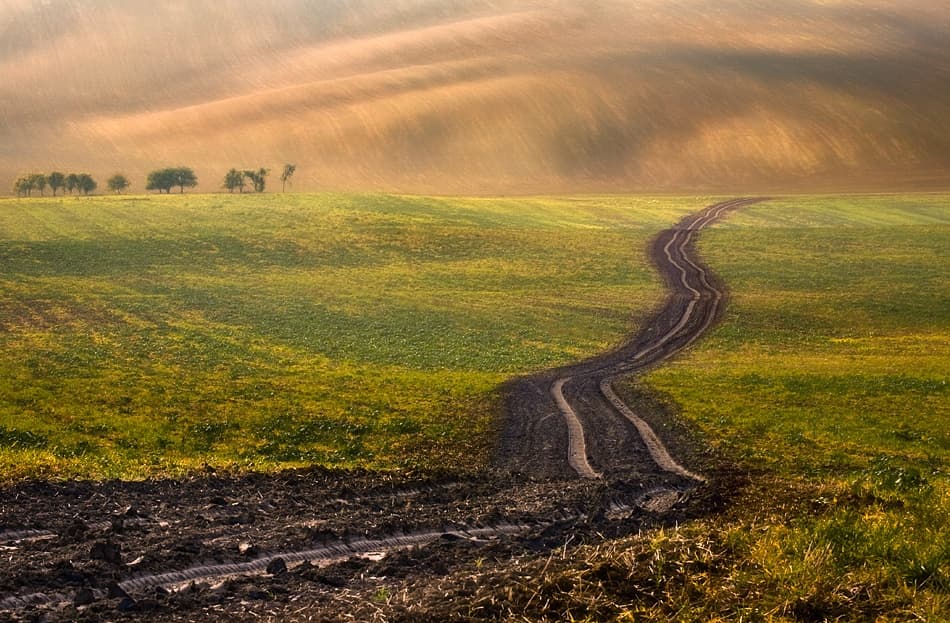 Winding Field Path by Krzysztof Browko — canvas wall art