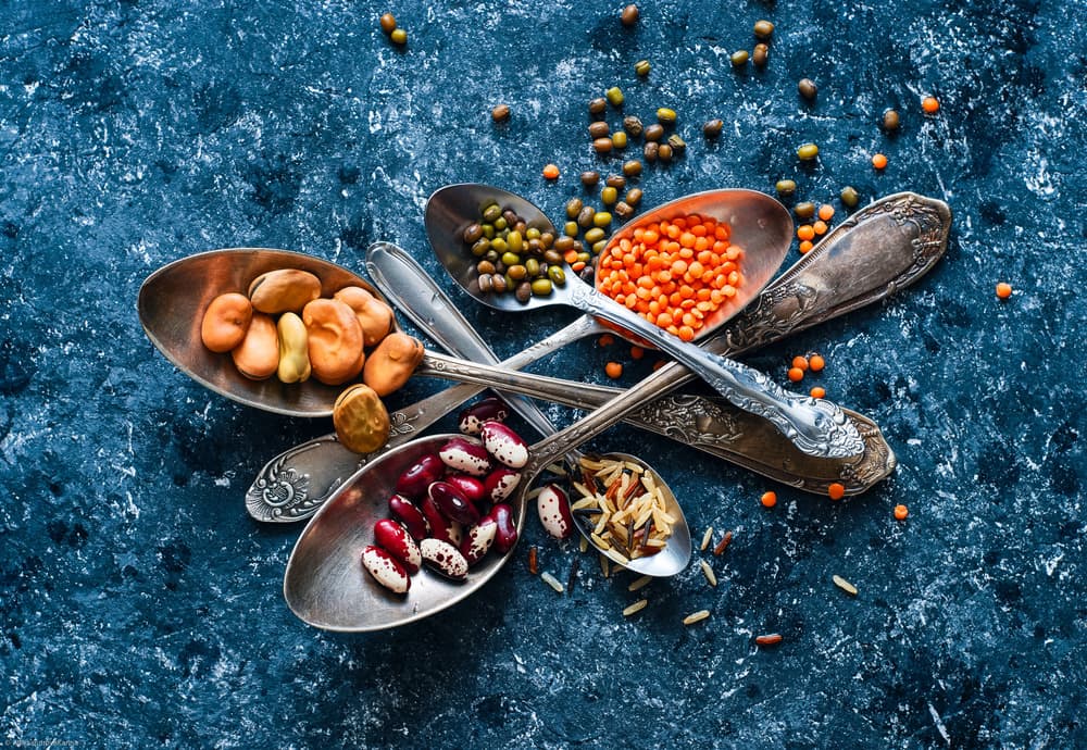 Wholesome Legumes and Spoons by Karina Aleksandrova — canvas wall art