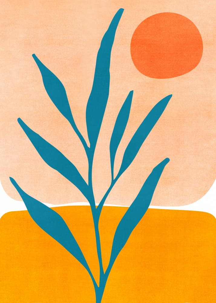 Exploringthesw by Kristian Gallagher — canvas wall art